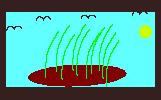 Wetlands graphic